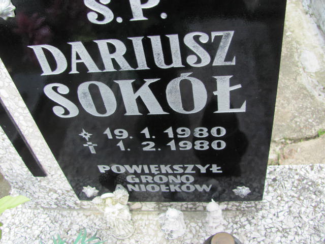 Dariusz SOKÓŁ 1980 Międzybórz - Grobonet - Wyszukiwarka osób pochowanych