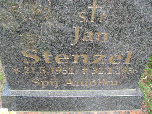 Jan STENZEL 1951 Międzybórz - Grobonet - Wyszukiwarka osób pochowanych