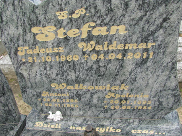 Tadeusz STEFAN 1960 Międzybórz - Grobonet - Wyszukiwarka osób pochowanych