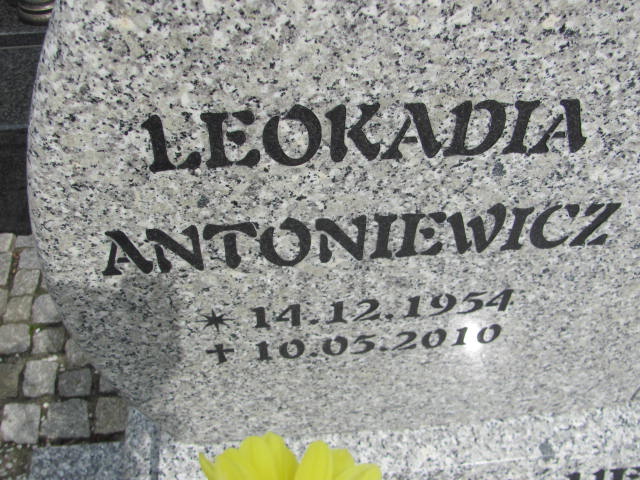 Stanisława SALAMON 1938 Międzybórz - Grobonet - Wyszukiwarka osób pochowanych