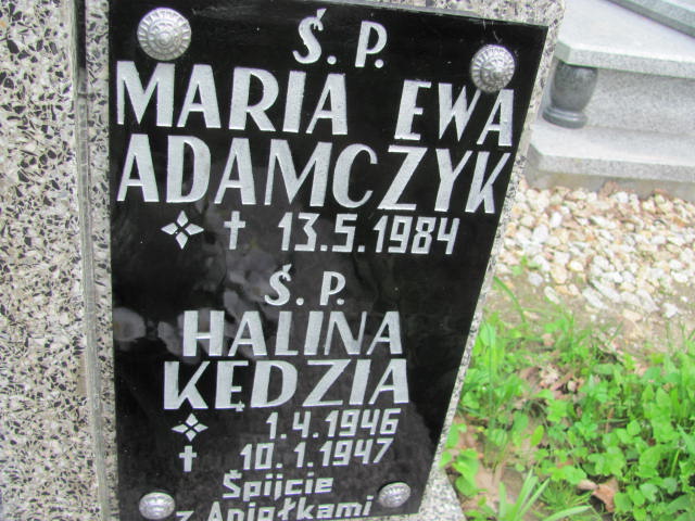Halina KĘDZIA 1946 Międzybórz - Grobonet - Wyszukiwarka osób pochowanych